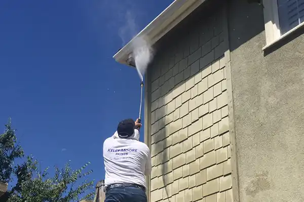 Dubon Painting's other services